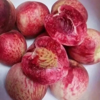 廣水胭脂紅鮮桃批發(fā)代辦